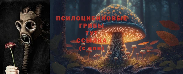 2c-b Красноперекопск