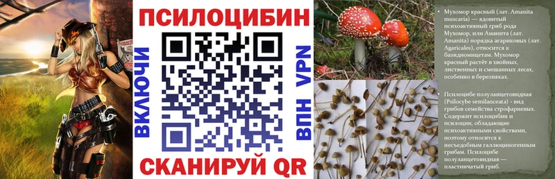 наркошоп Суздаль Галлюциногенные грибы Psilocybine cubensis